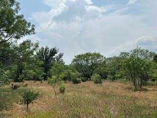 100 Acres of Recreational Land & Farm for Sale in Santa Anna, Texas