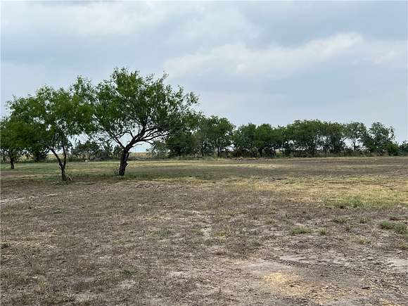 3 Acres of Land for Sale in Orange Grove, Texas