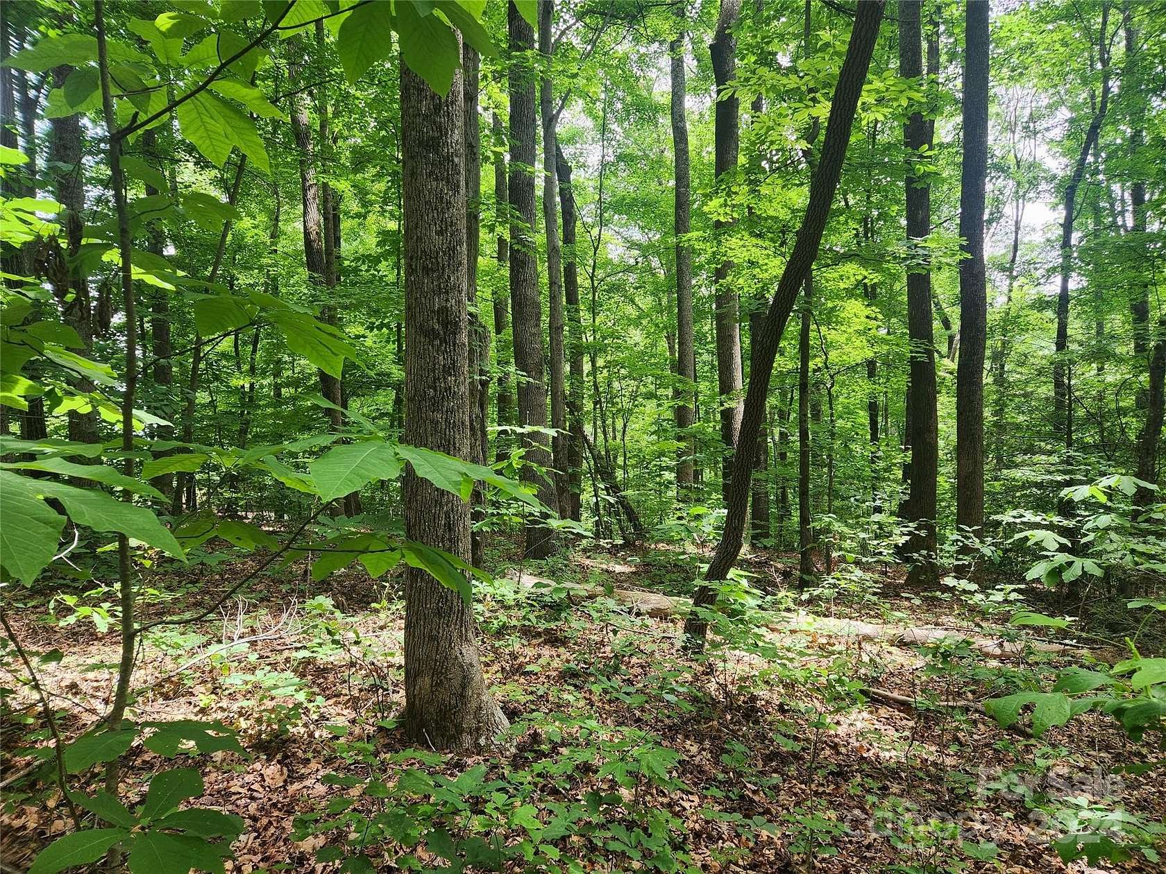 3.59 Acres of Residential Land for Sale in Marion, North Carolina