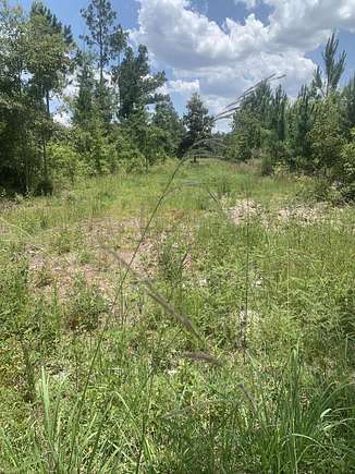 4.1 Acres of Residential Land for Sale in Fountain, Florida
