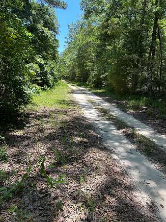 2.7 Acres of Residential Land for Sale in Ponce de Leon, Florida