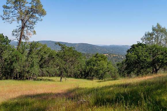 80 Acres of Agricultural Land for Sale in Coarsegold, California
