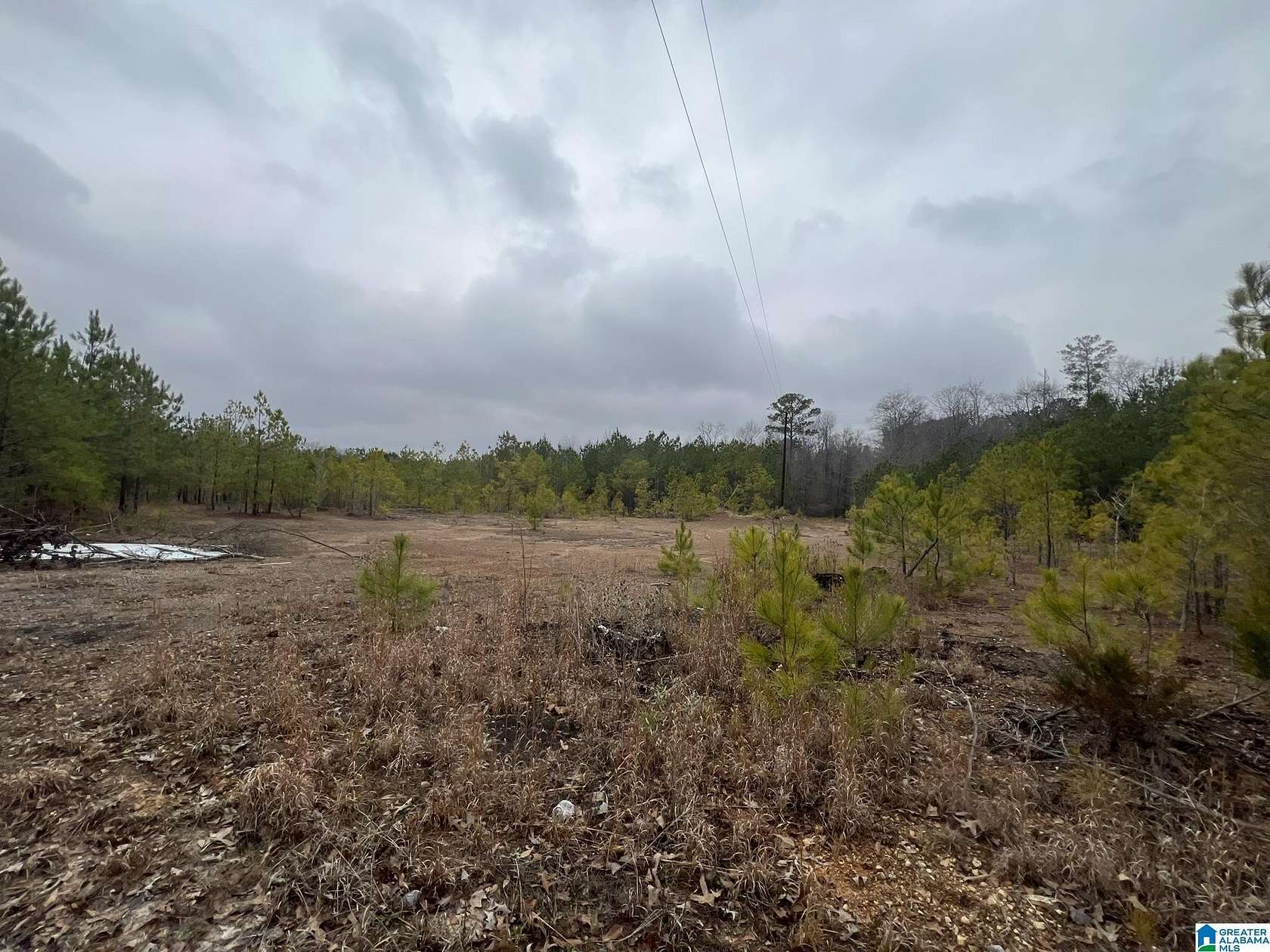 3 Acres of Commercial Land for Sale in Calera, Alabama