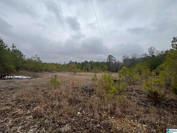 3 Acres of Commercial Land for Sale in Calera, Alabama