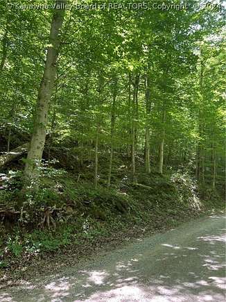 1.2 Acres of Land for Sale in Liberty, West Virginia
