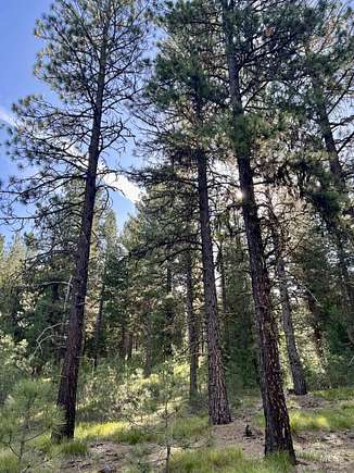 6 Acres of Land for Sale in New Meadows, Idaho