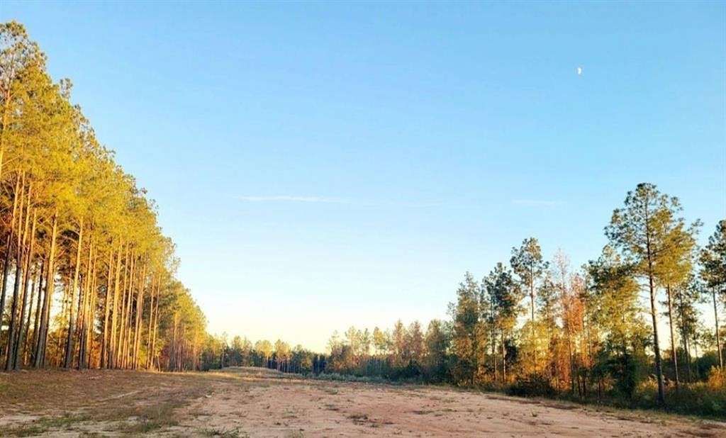 14.6 Acres of Land for Sale in Lexington, Georgia