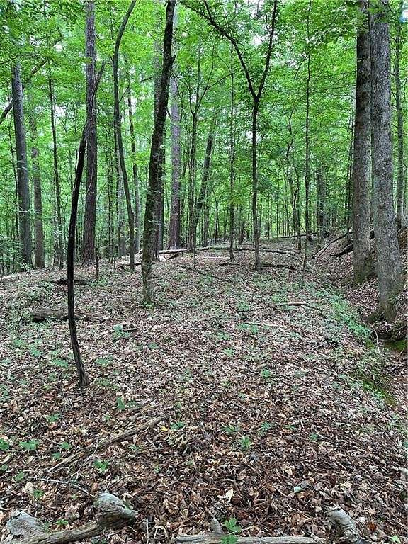 5.6 Acres of Residential Land for Sale in Salem, Alabama