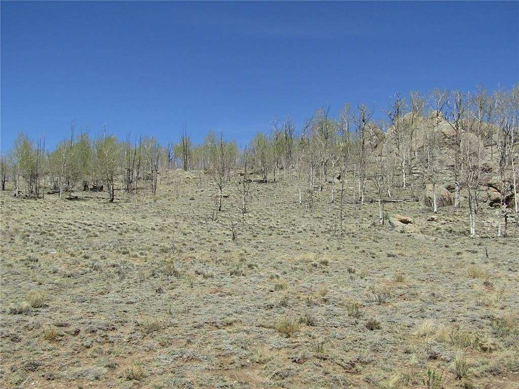 11 Acres of Recreational Land for Sale in Hartsel, Colorado