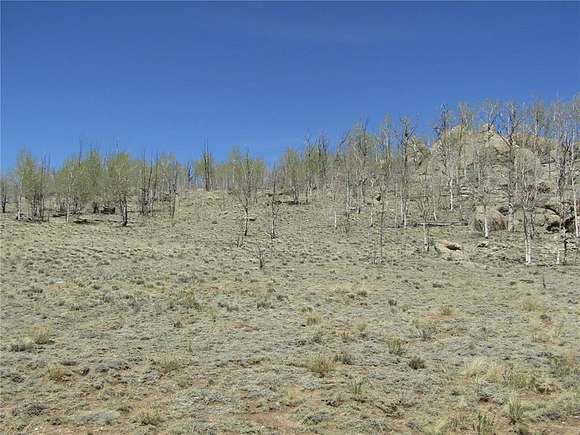 11 Acres of Recreational Land for Sale in Hartsel, Colorado