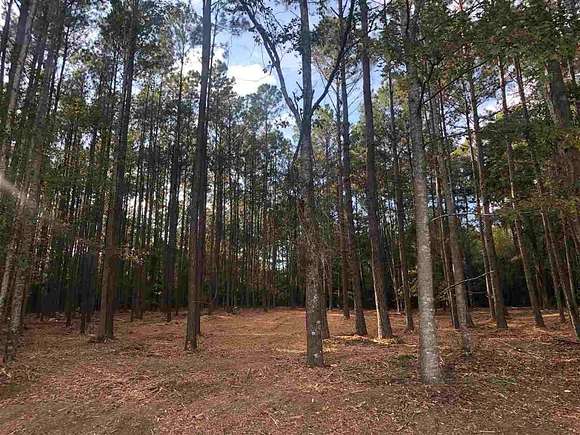 2.8 Acres of Residential Land for Sale in Tallahassee, Florida