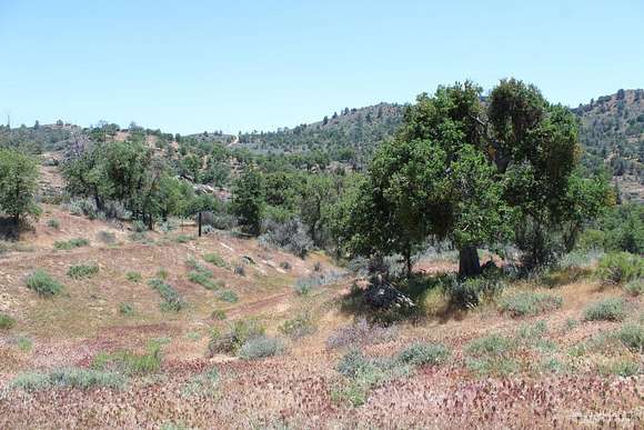 20.3 Acres of Land for Sale in Caliente, California