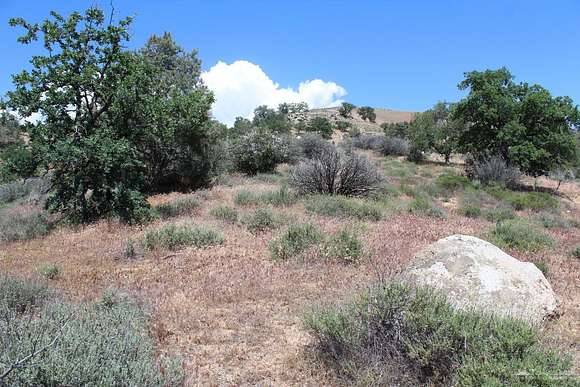 21.6 Acres of Land for Sale in Caliente, California
