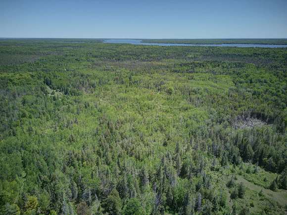 336 Acres of Recreational Land for Sale in Posen, Michigan