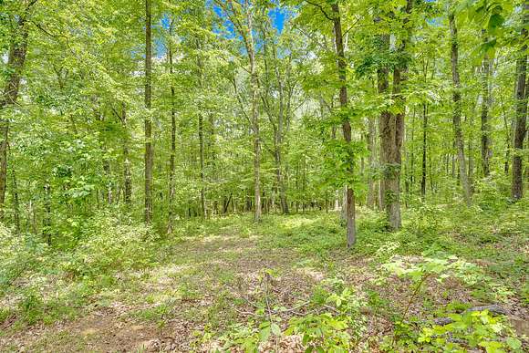 1.6 Acres of Residential Land for Sale in Dayton, Tennessee