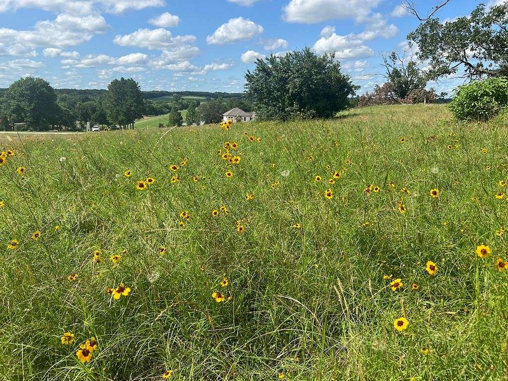 1 Acre of Residential Land for Sale in Athens, Texas