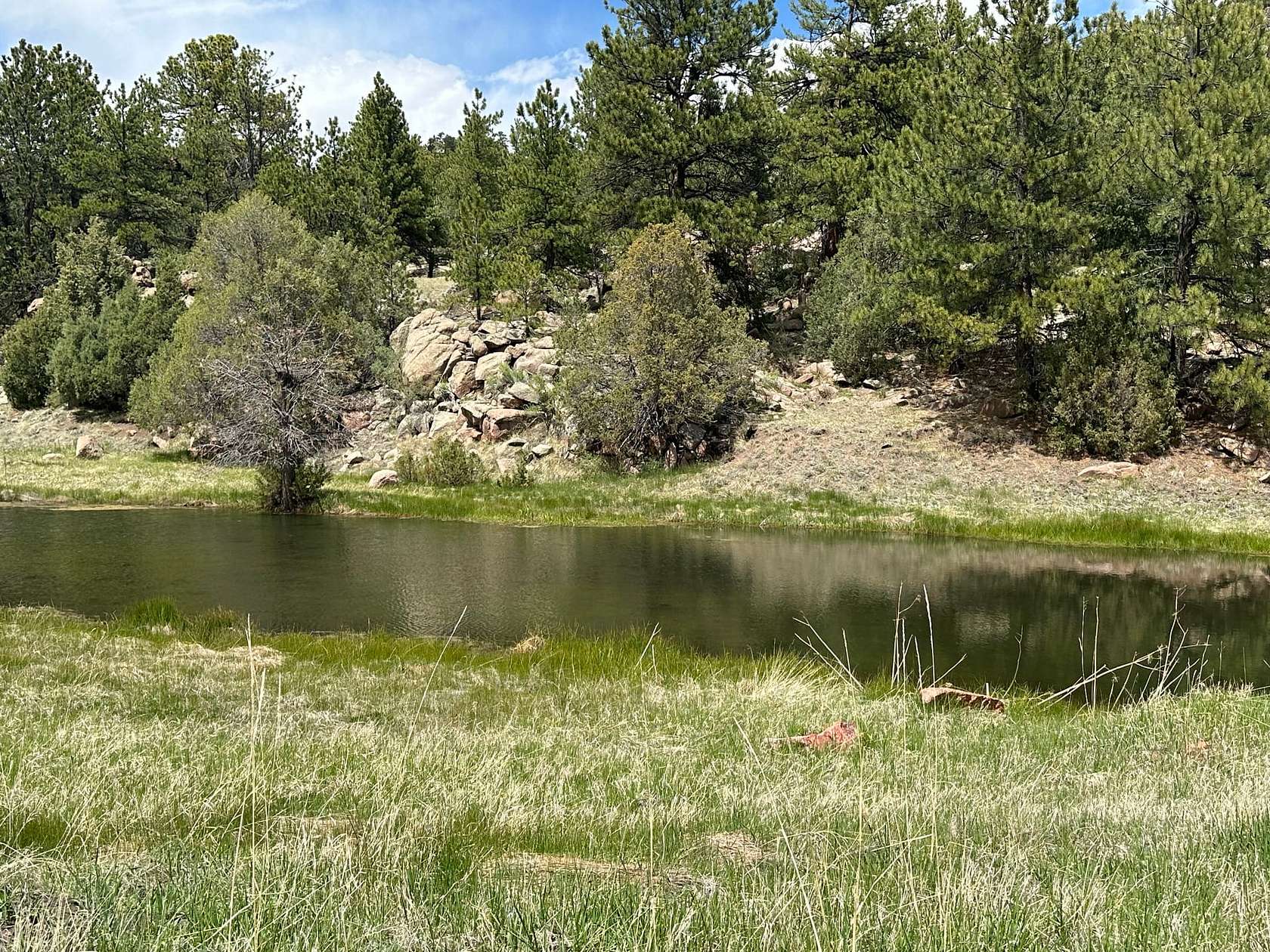 35 Acres of Recreational Land for Sale in Florissant, Colorado