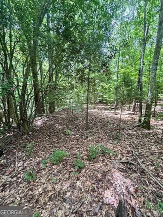 4 Acres of Residential Land for Sale in Bowman, Georgia