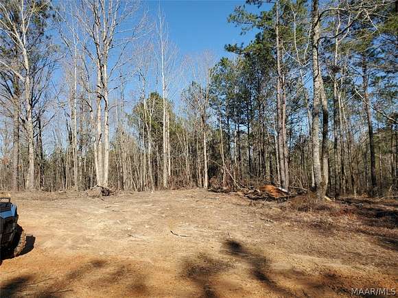 9.3 Acres of Land for Sale in Equality, Alabama