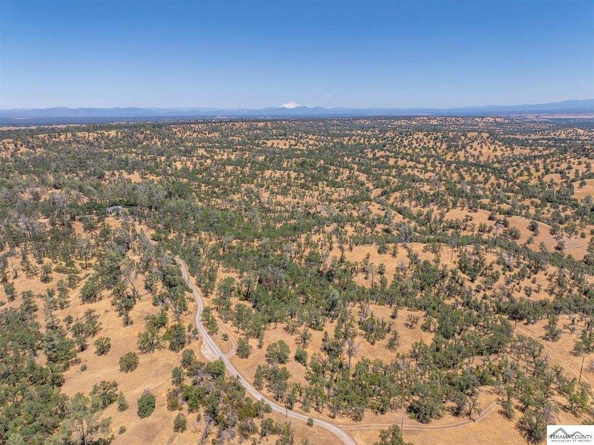41.6 Acres of Recreational Land for Sale in Red Bluff, California