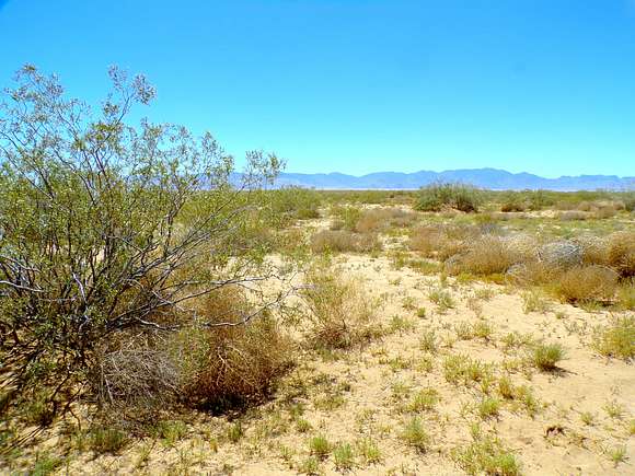 Residential Land for Sale in Yucca, Arizona