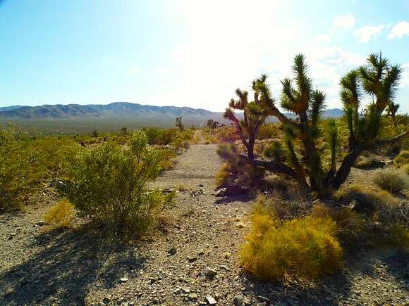 Residential Land for Sale in Meadview, Arizona