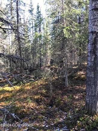 20 Acres of Recreational Land for Sale in Soldotna, Alaska