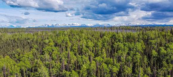19.97 Acres of Recreational Land for Sale in Soldotna, Alaska