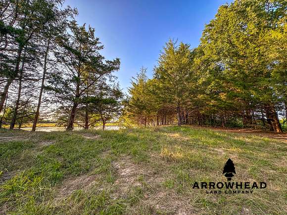 50 Acres of Recreational Land & Farm for Sale in Ivanhoe, Texas