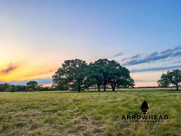 50 Acres of Recreational Land & Farm for Sale in Ivanhoe, Texas
