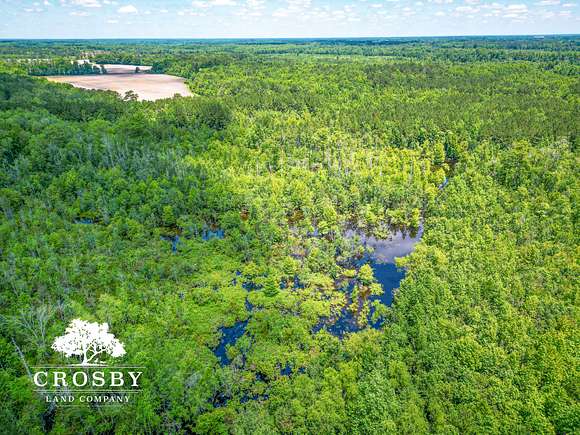 297 Acres of Recreational Land for Sale in Lumberton, North Carolina
