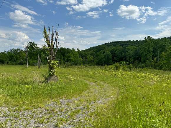 103 Acres of Recreational Land for Sale in Alum Bank, Pennsylvania
