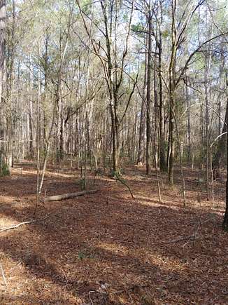 2 Acres of Residential Land for Sale in Waverly, Georgia