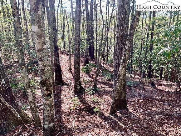 0.94 Acres of Residential Land for Sale in Deep Gap, North Carolina