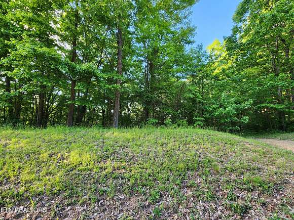 0.68 Acres of Residential Land for Sale in Crab Orchard, Tennessee