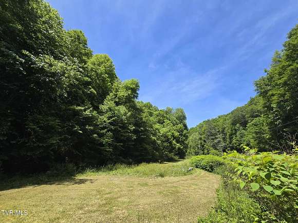 4 Acres of Residential Land for Sale in St. Paul, Virginia