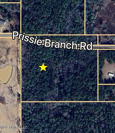 11.3 Acres of Land for Sale in Perkinston, Mississippi
