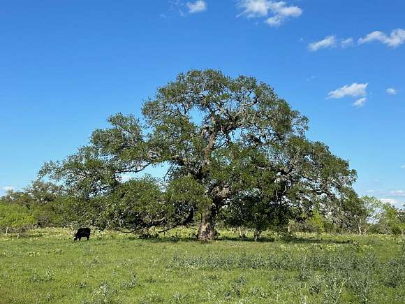 2,395 Acres of Land for Sale in Burnet, Texas
