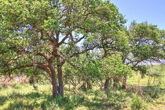 64 Acres of Recreational Land for Sale in Willow City, Texas
