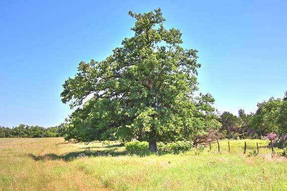49 Acres of Recreational Land for Sale in Willow City, Texas
