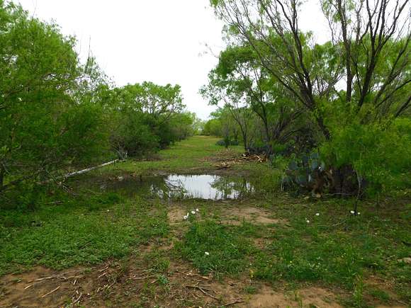 616 Acres of Recreational Land & Farm for Sale in Moore, Texas