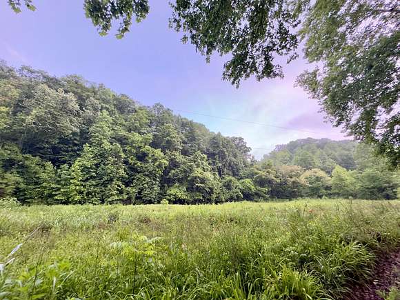 123 Acres of Land for Sale in Buckhorn, Kentucky