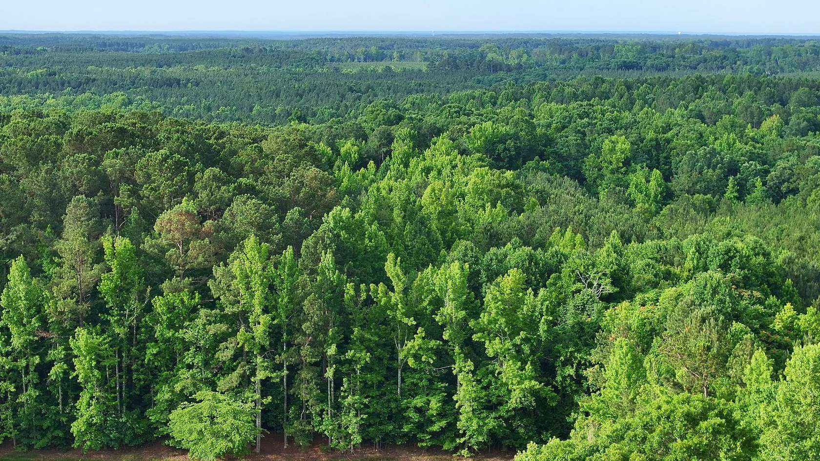 Land for Sale in Oxford, North Carolina