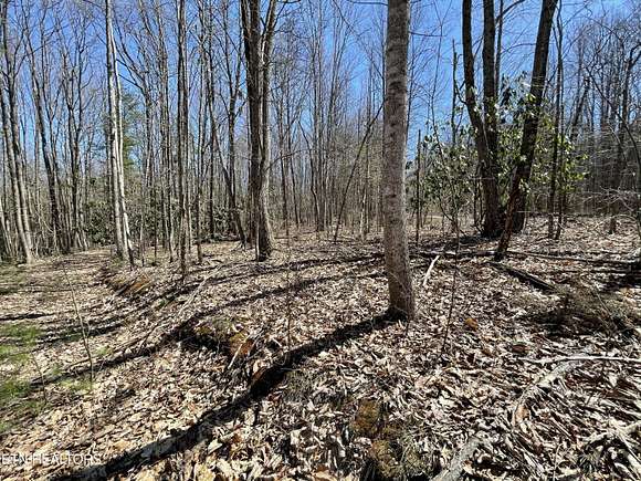 9.6 Acres of Land for Sale in Parrottsville, Tennessee
