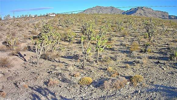 1.06 Acres of Residential Land for Sale in Dolan Springs, Arizona