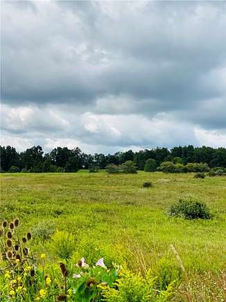 40 Acres of Land for Sale in Enfield, New York
