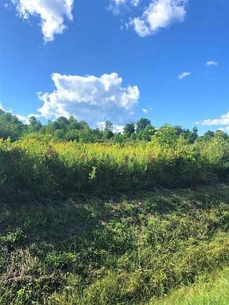 5.2 Acres of Land for Sale in Dix Town, New York