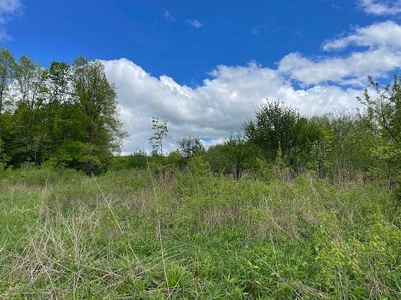 16 Acres of Recreational Land for Sale in Dryden, New York