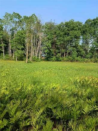 5 Acres of Residential Land for Sale in Ulysses Town, New York