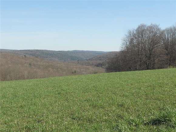 270 Acres of Recreational Land & Farm for Sale in Spencer, New York